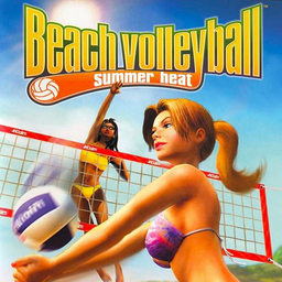 Summer Heat Beach Volleyball